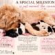 A SPECIAL MILESTONE IS JUST AROUND THE CORNER!